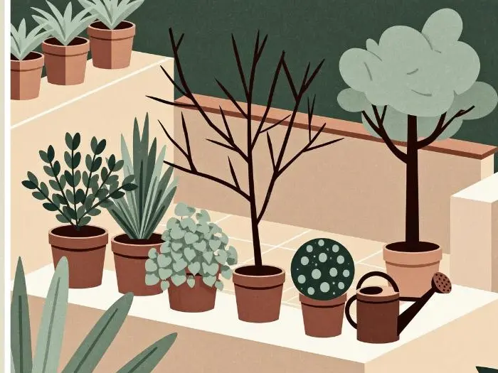 Terrazzo italiano con piante in vaso, un piccolo albero e strumenti da giardinaggio